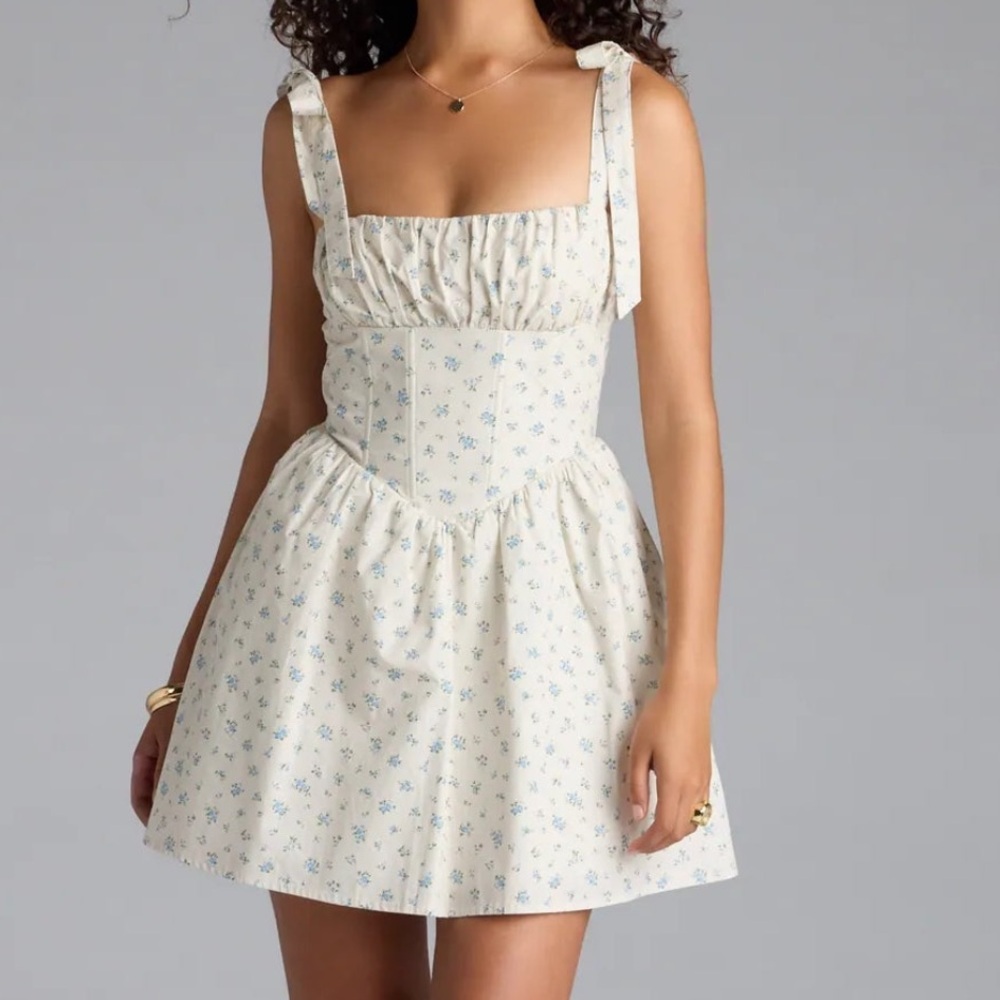 NWT - Flower Fields Lace-Up Corset Skater Dress